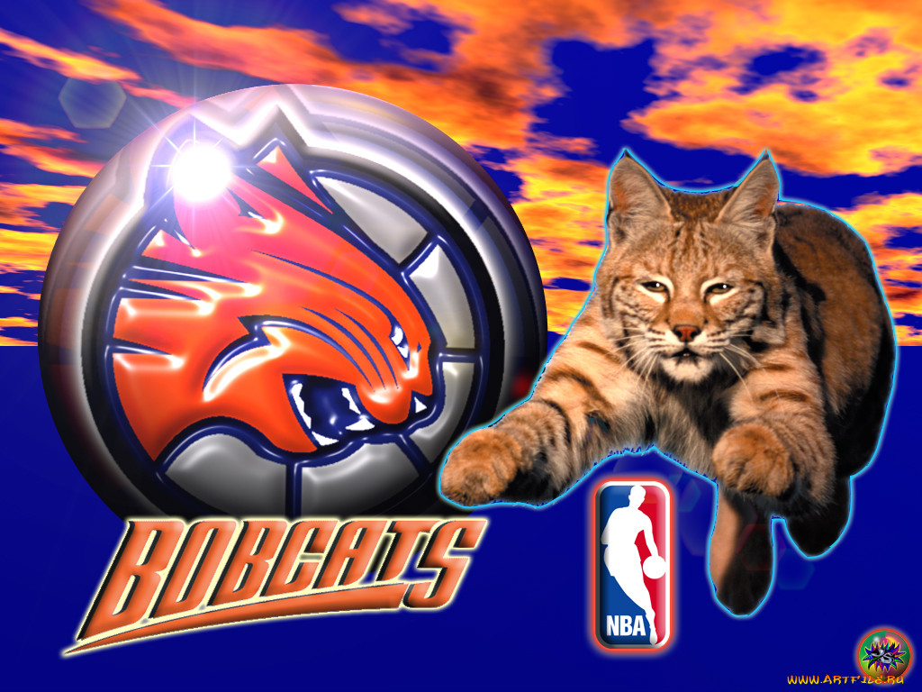 , nba
